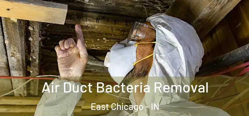  Air Duct Bacteria Removal East Chicago - IN