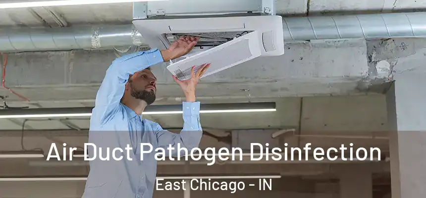  Air Duct Pathogen Disinfection East Chicago - IN