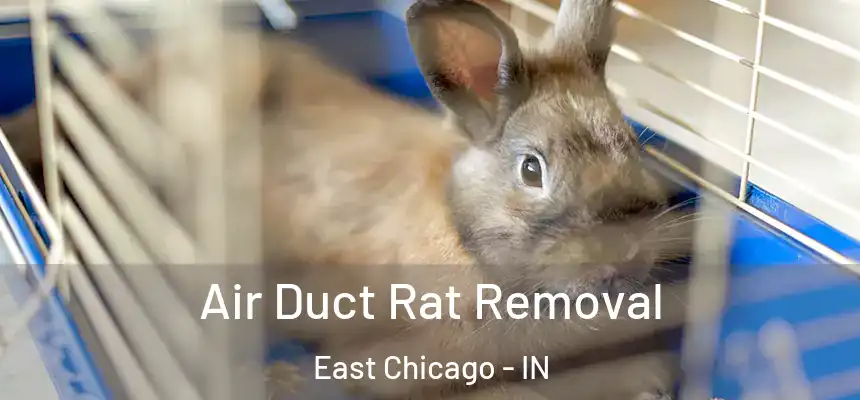  Air Duct Rat Removal East Chicago - IN