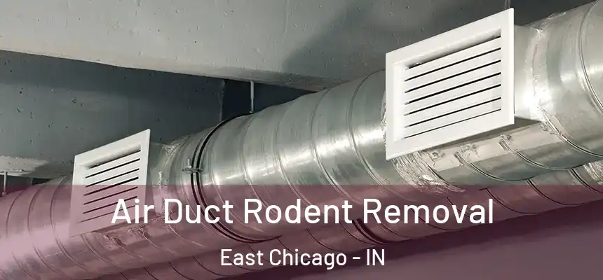  Air Duct Rodent Removal East Chicago - IN