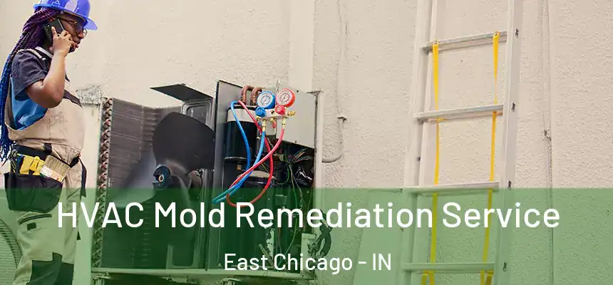 HVAC Mold Remediation Service East Chicago - IN