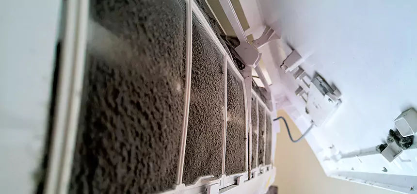 Preventive Air Duct Bacteria Removal in East Chicago