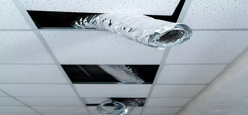 Our Air Duct Pet Hair Removal Services in East Chicago, IN