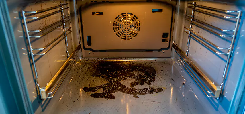 Our Dryer Vent Mold Cleaning Services in East Chicago, IN