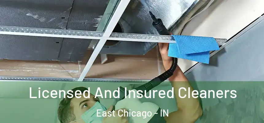 Licensed And Insured Cleaners East Chicago - IN