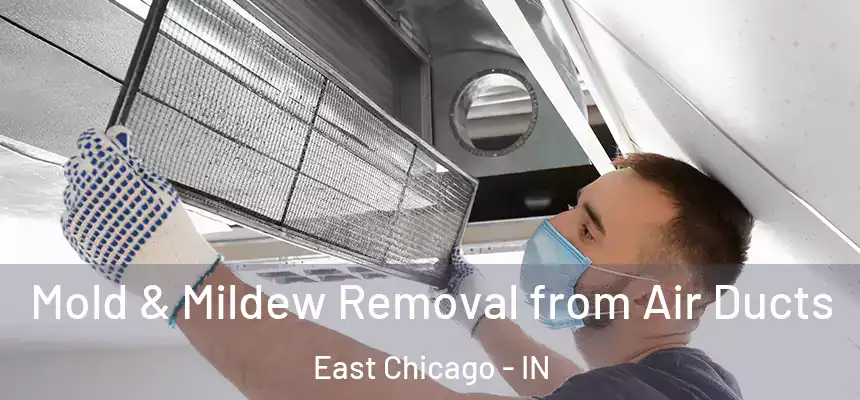  Mold & Mildew Removal from Air Ducts East Chicago - IN