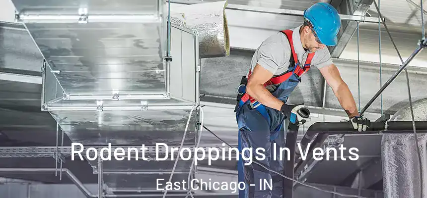  Rodent Droppings In Vents East Chicago - IN
