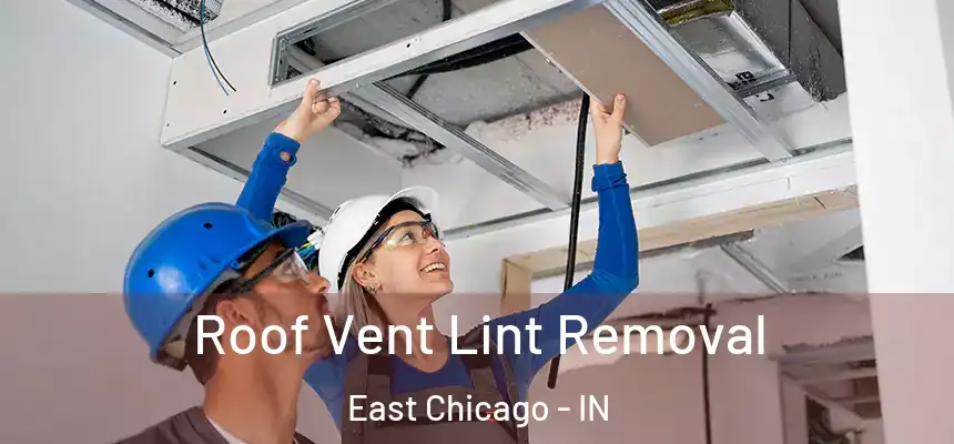 Roof Vent Lint Removal East Chicago - IN