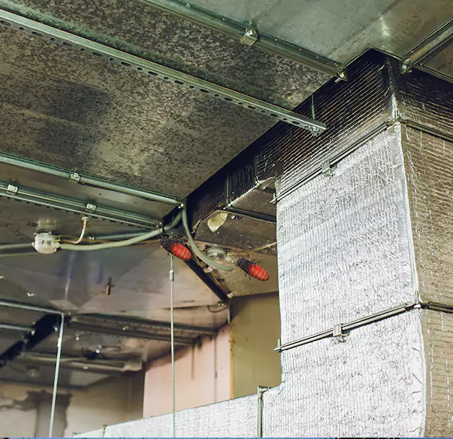 Why Homeowners & Businesses Trust Us in East Chicago, IN?