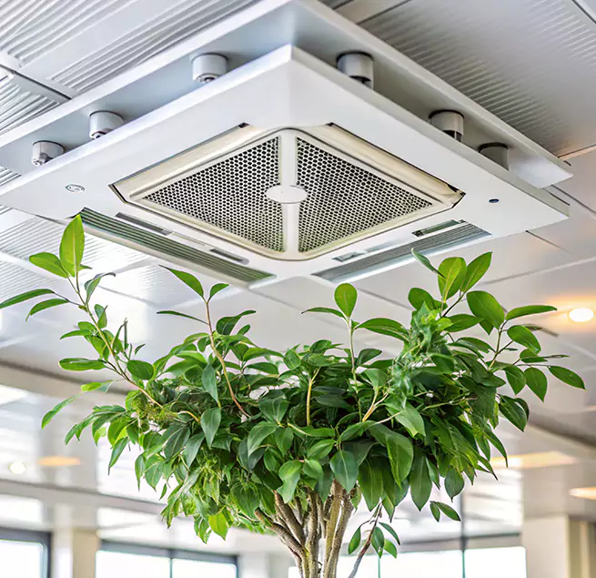 Why Homeowners & Businesses Trust Us in East Chicago, IN